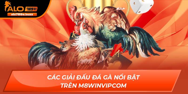 Các giải đấu đá gà nổi bật trên m8winvipcom