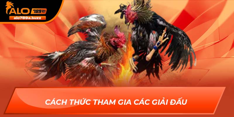 Cách thức tham gia các giải đấu