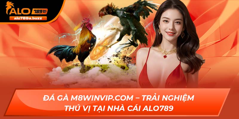 Đá gà M8WinVip.com
