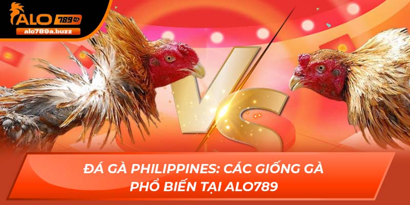 đá gà Philippines