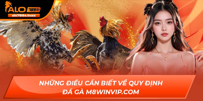 Những điều cần biết về quy định đá gà M8WinVip.com